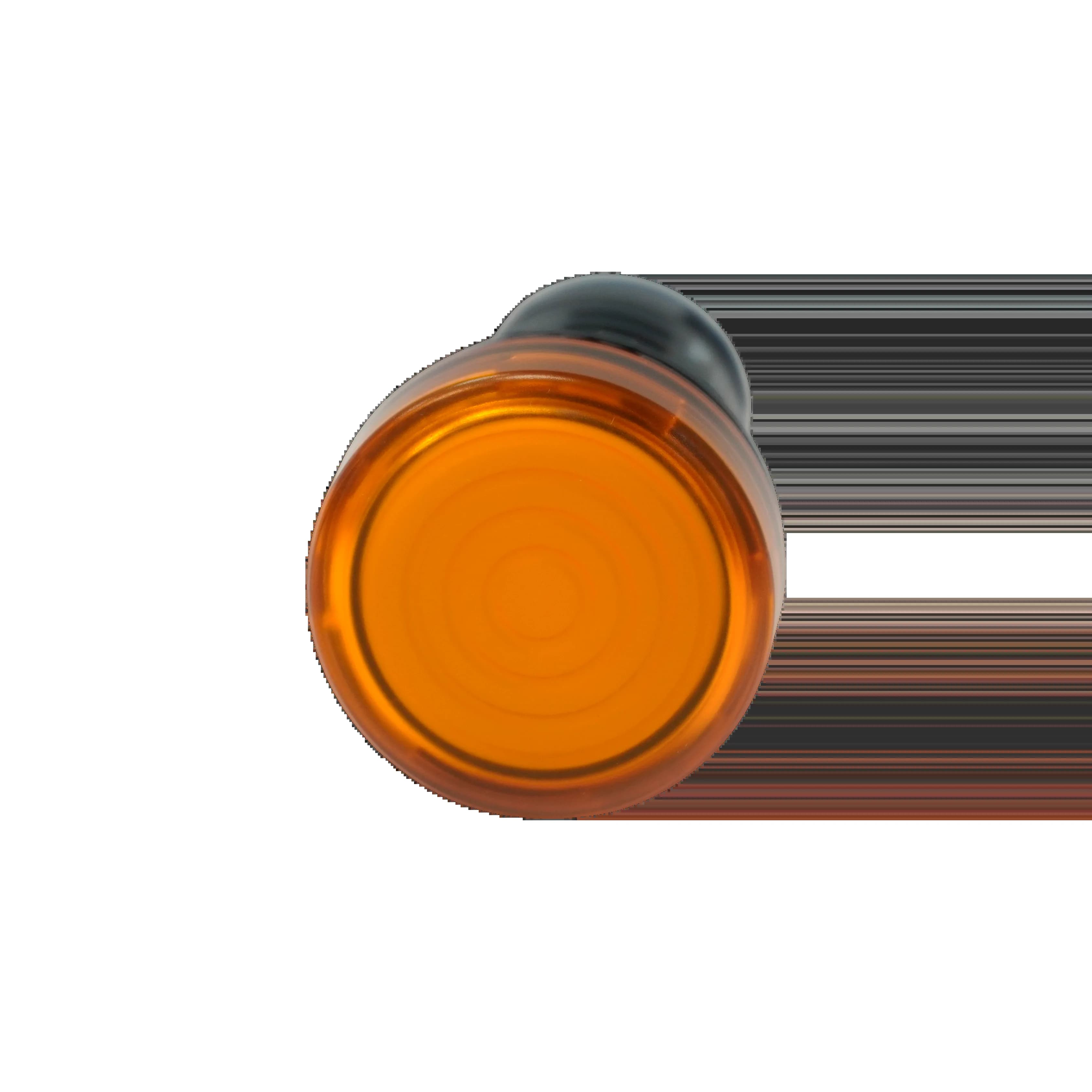 TS2011-3BG30_Индикатор, жёлтый, 220В AC