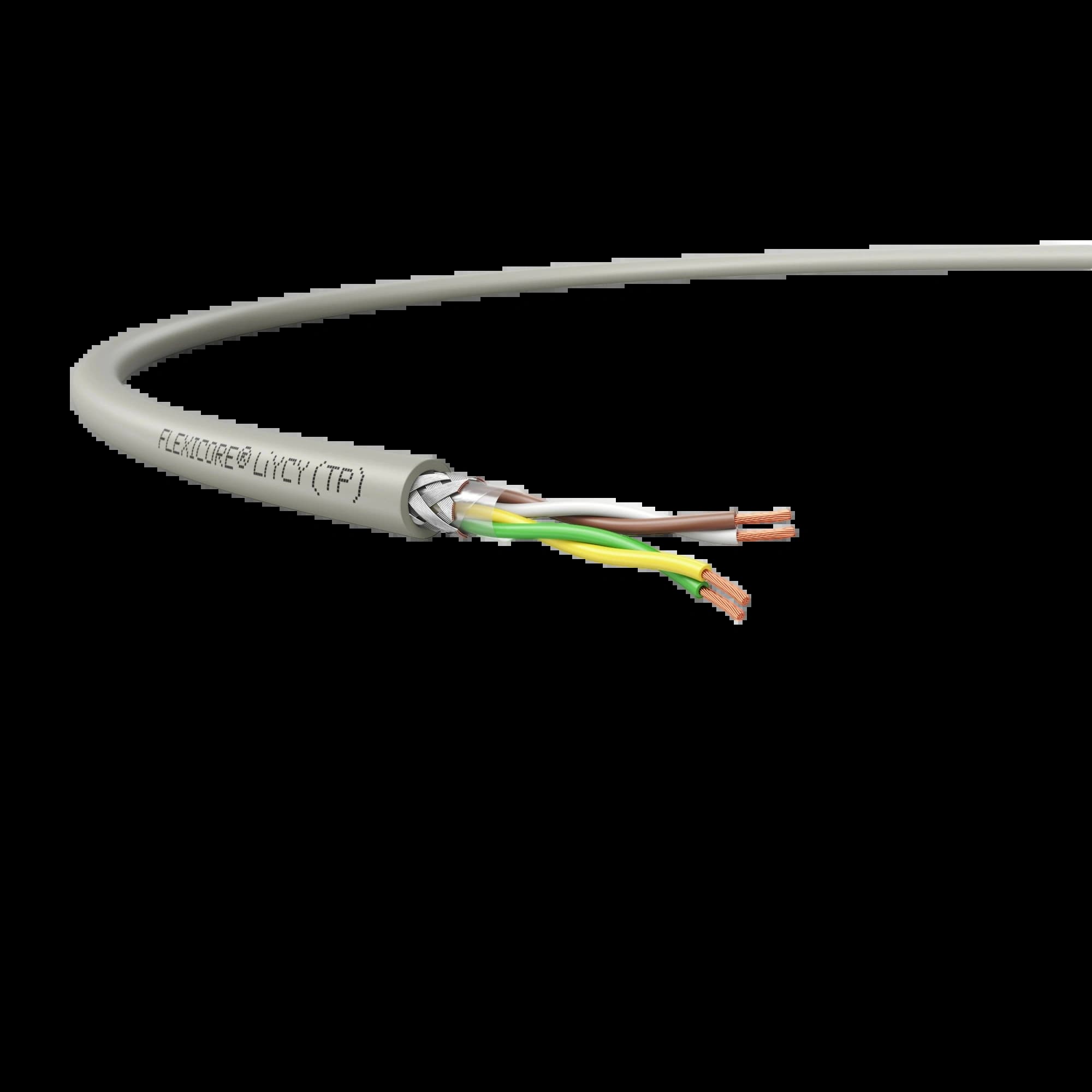 3120001751_FLEXICORE LiYCY (TP) 2x2x0.5 _1