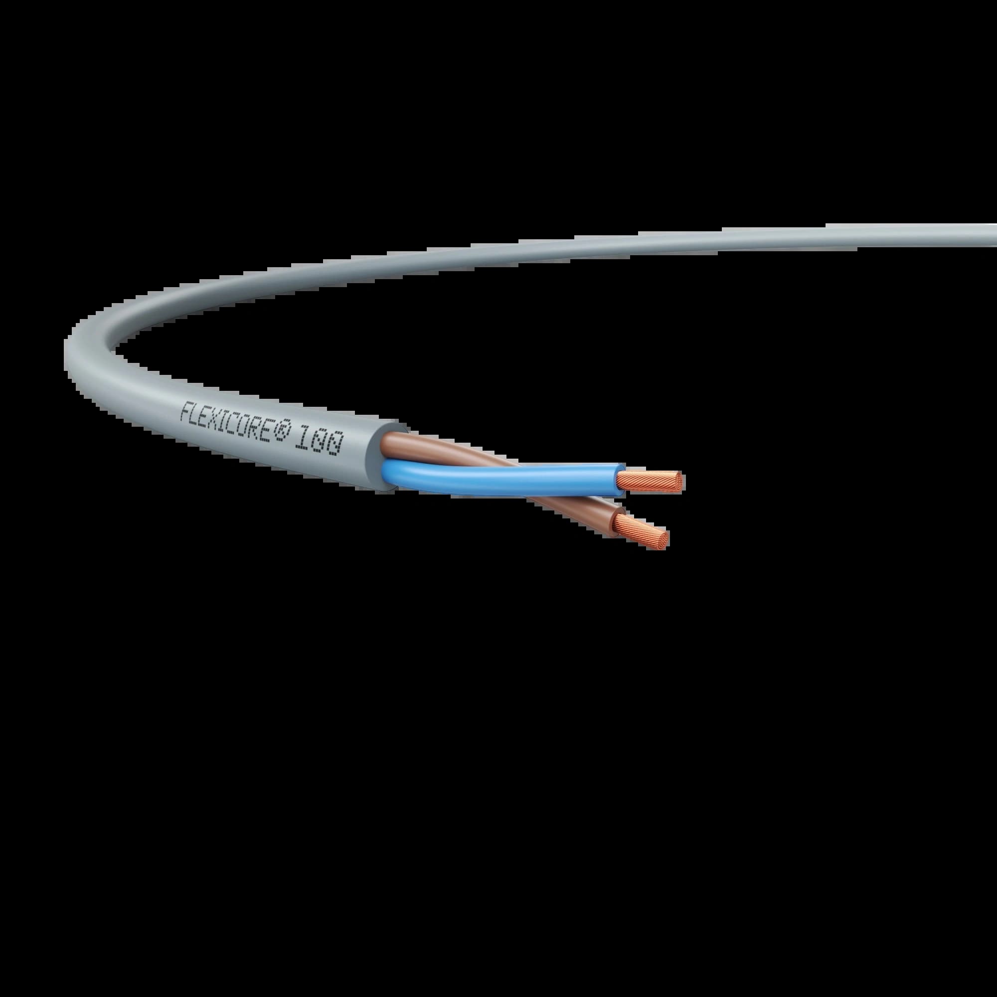 3120000045_FLEXICORE 100 2X0.5 _1