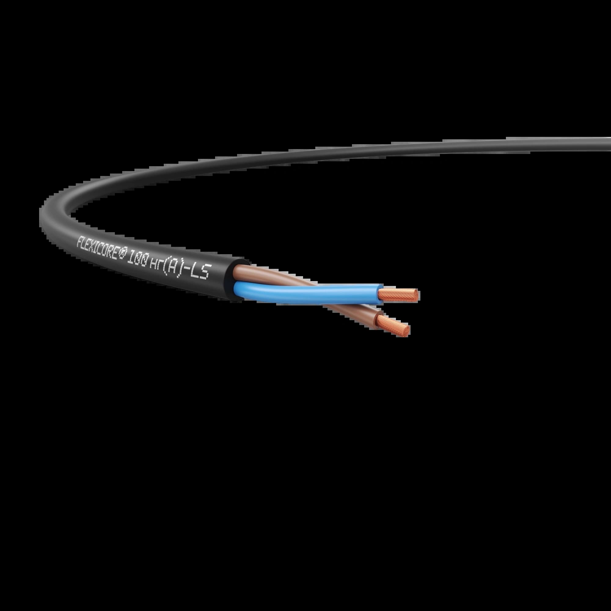 3120000025_FLEXICORE 100 нг(А)-LS 2X4 _1